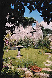 my garden portrait studio