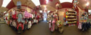 click here to see an enlargement of this panoramic photograph