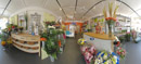 click here to see an enlargement of this panoramic photograph