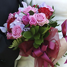 click here to see an enlargement of this photograph
