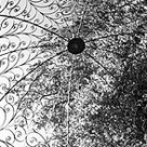 click here to see an enlargement of this photograph