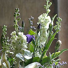 click here to see an enlargement of this photograph