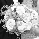 click here to see an enlargement of this photograph