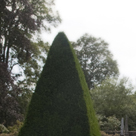 click here to see an enlargement of this photograph