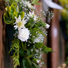click here to see an enlargement of this photograph