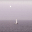click here to see an enlargement of this photograph