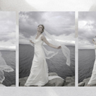 click here to see an enlargement of this photograph